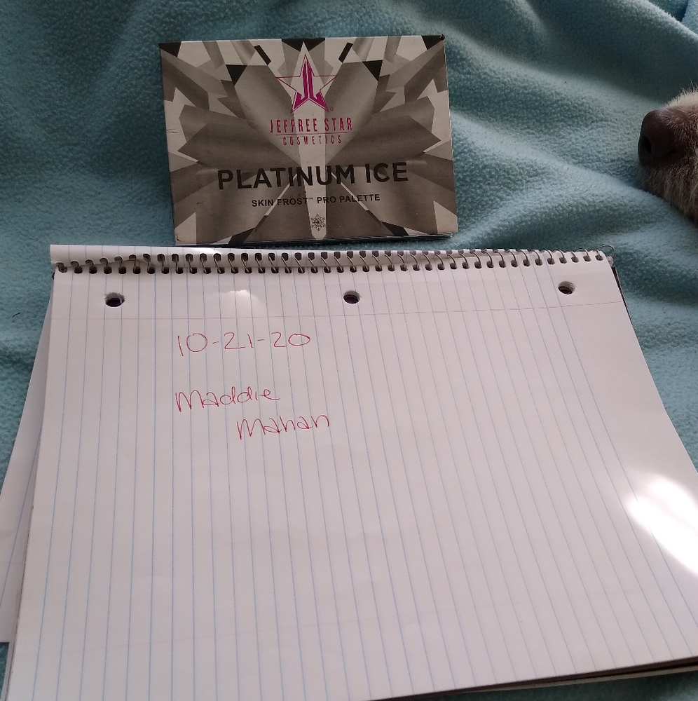 Jeffree Star Platinum Ice skin pro pallete